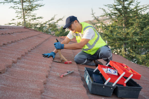 Best New Roof Installation  in Ellinwood, KS